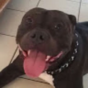 Meet your Posher, Charlene